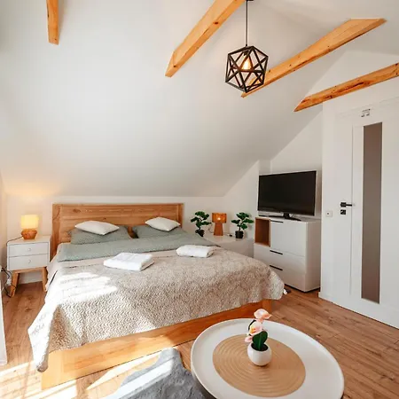 Pod Bukami Apartament Szare
